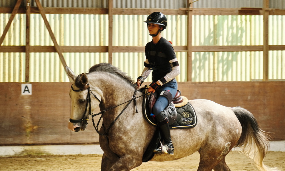 Feedbacksystem für Reitende zur Vermeidung von Fehlern - Feldtest From Lab to Field